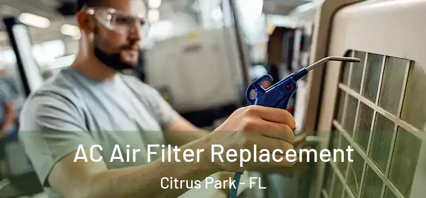 AC Air Filter Replacement Citrus Park - FL