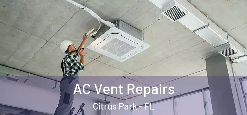 AC Vent Repairs Citrus Park - FL