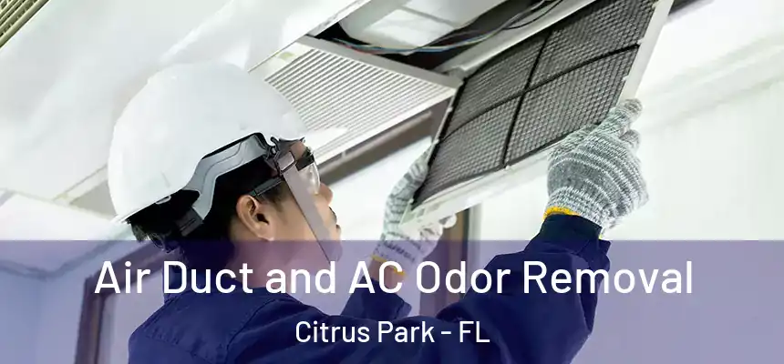 Air Duct and AC Odor Removal Citrus Park - FL