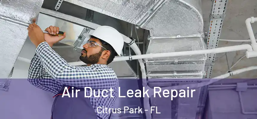 Air Duct Leak Repair Citrus Park - FL