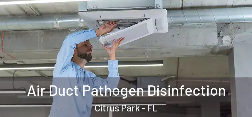 Air Duct Pathogen Disinfection Citrus Park - FL
