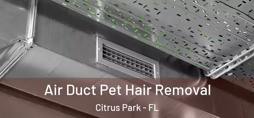 Air Duct Pet Hair Removal Citrus Park - FL