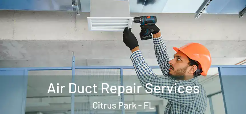 Air Duct Repair Services Citrus Park - FL