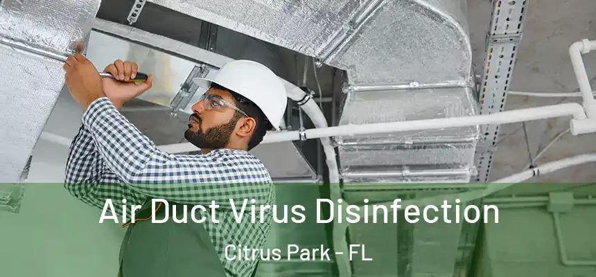 Air Duct Virus Disinfection Citrus Park - FL