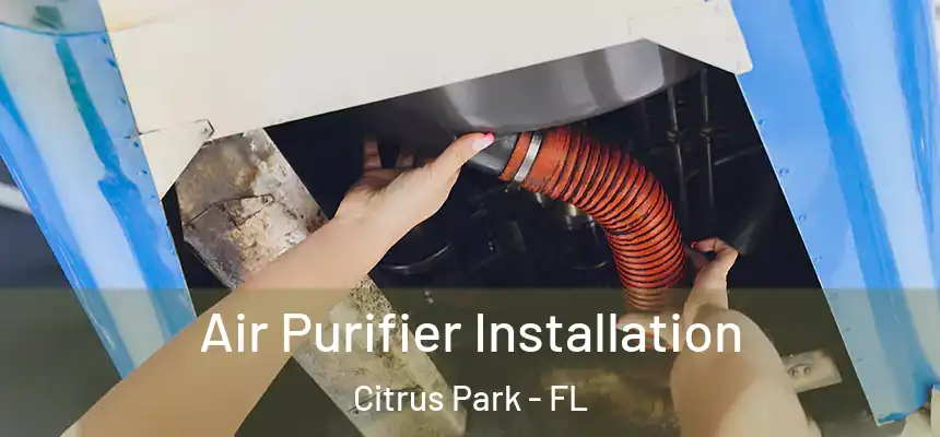 Air Purifier Installation Citrus Park - FL