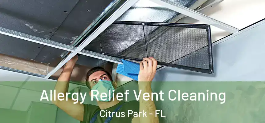 Allergy Relief Vent Cleaning Citrus Park - FL