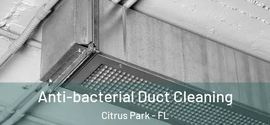 Anti-bacterial Duct Cleaning Citrus Park - FL
