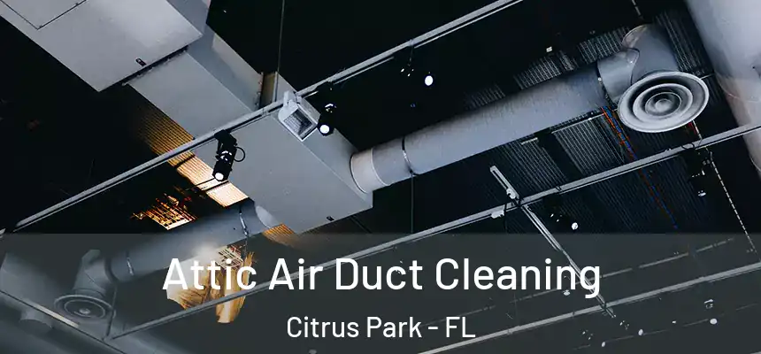 Attic Air Duct Cleaning Citrus Park - FL