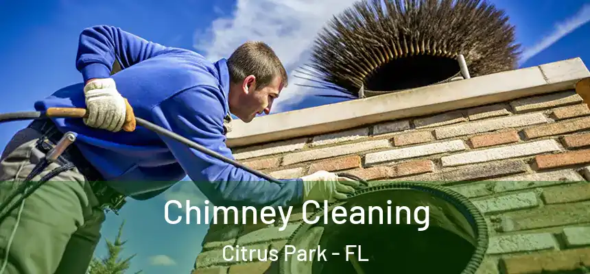 Chimney Cleaning Citrus Park - FL