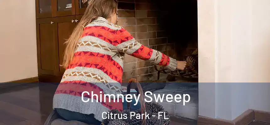 Chimney Sweep Citrus Park - FL