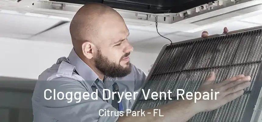 Clogged Dryer Vent Repair Citrus Park - FL