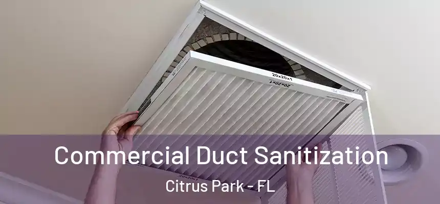 Commercial Duct Sanitization Citrus Park - FL
