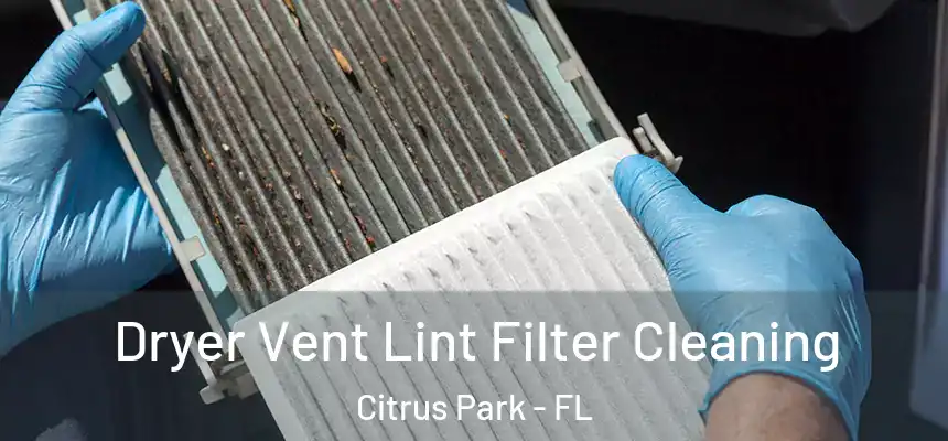 Dryer Vent Lint Filter Cleaning Citrus Park - FL