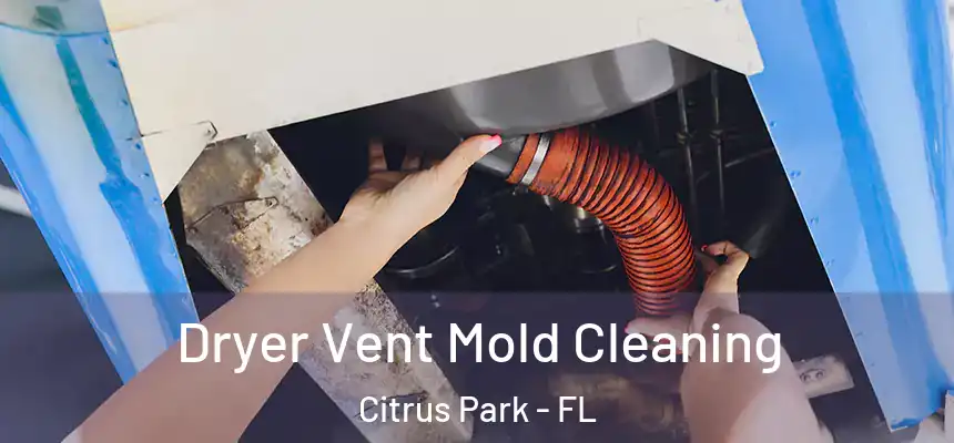 Dryer Vent Mold Cleaning Citrus Park - FL