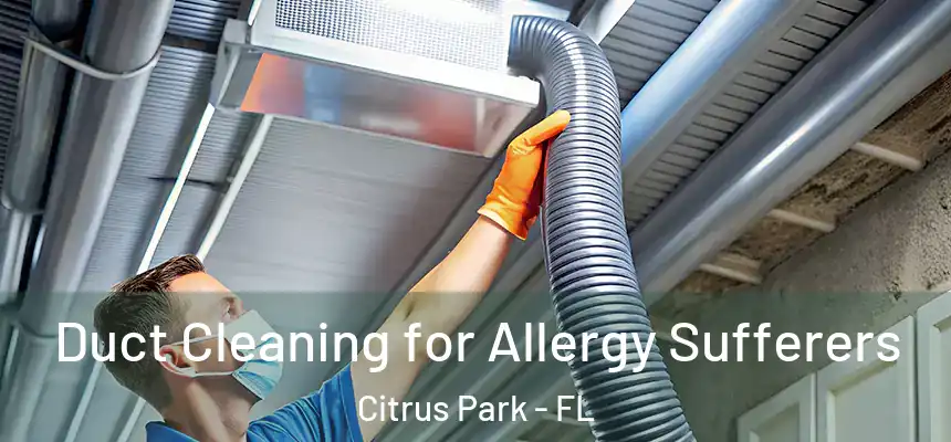 Duct Cleaning for Allergy Sufferers Citrus Park - FL