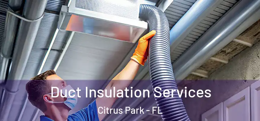Duct Insulation Services Citrus Park - FL