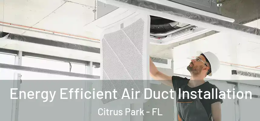 Energy Efficient Air Duct Installation Citrus Park - FL