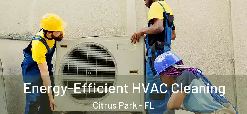 Energy-Efficient HVAC Cleaning Citrus Park - FL