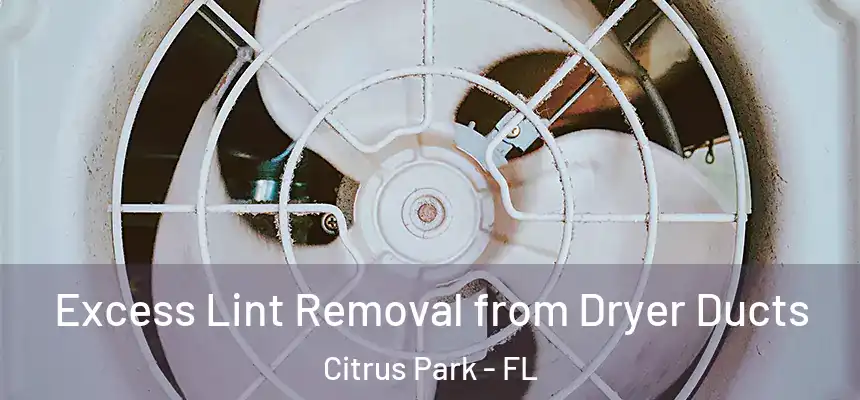 Excess Lint Removal from Dryer Ducts Citrus Park - FL