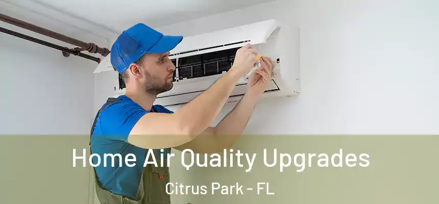 Home Air Quality Upgrades Citrus Park - FL