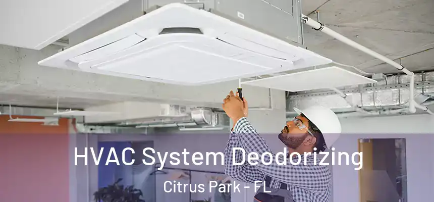 HVAC System Deodorizing Citrus Park - FL