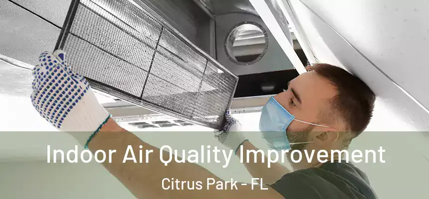 Indoor Air Quality Improvement Citrus Park - FL