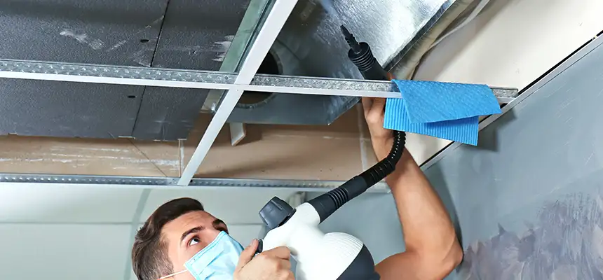 Our Air Duct Rodent Removal Services in Citrus Park, FL