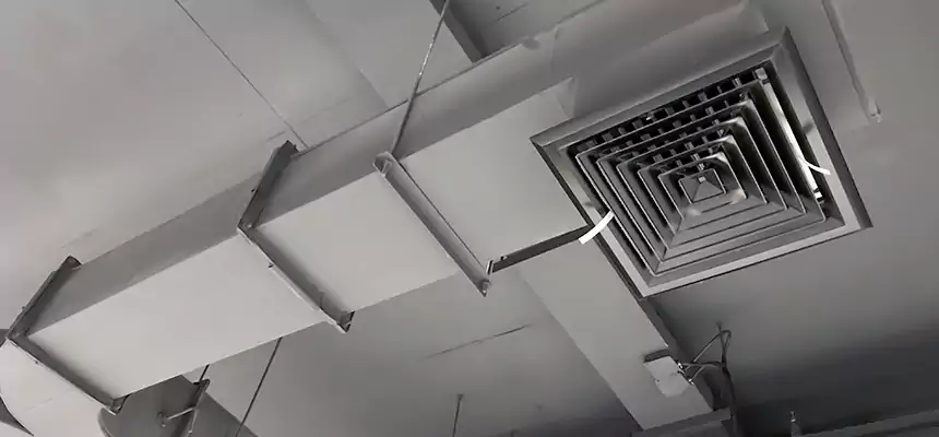 Restorative Allergy Relief Vent Cleaning – Coil, Blower & Housing Detail in Citrus Park