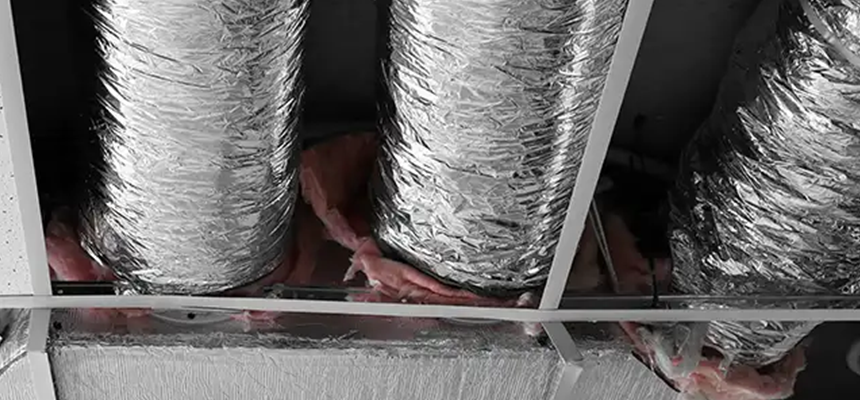 Scalable Commercial Multi‑Unit Dryer Vent Camera Inspection in Citrus Park, FL