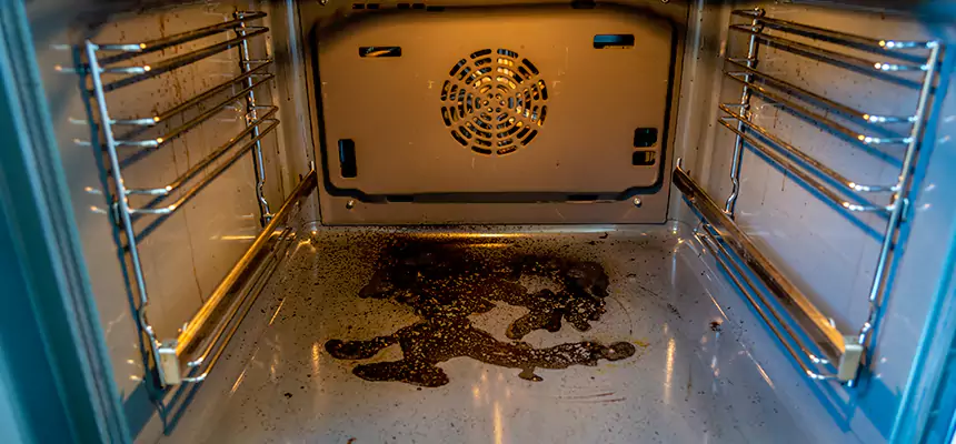 Our Dryer Vent Mold Cleaning Services in Citrus Park, FL