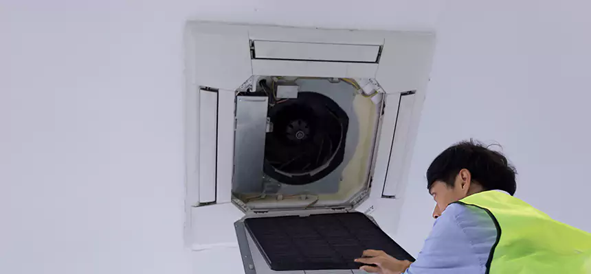 Our Dryer Vent Sanitization Service Services in Citrus Park, FL