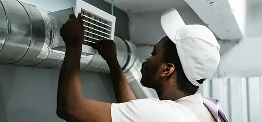 Our Licensed And Insured Cleaners in Citrus Park, FL