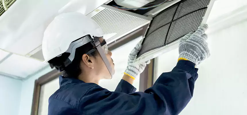 Our Mold & Mildew Removal from Air Ducts Services in Citrus Park, FL