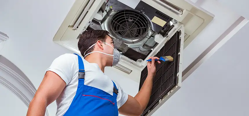 Our Move-in/Move-out Duct Cleaning Services in Citrus Park, FL