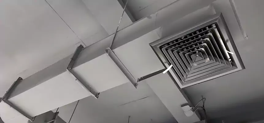 Our Pest Removal From Ducts Services in Citrus Park, FL