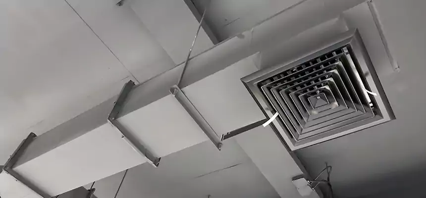 Our Rodent Droppings In Vents Services in Citrus Park, FL