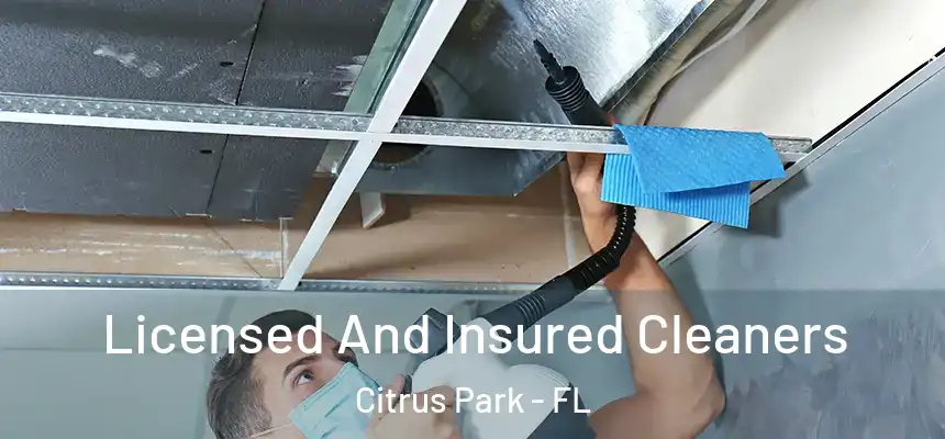 Licensed And Insured Cleaners Citrus Park - FL