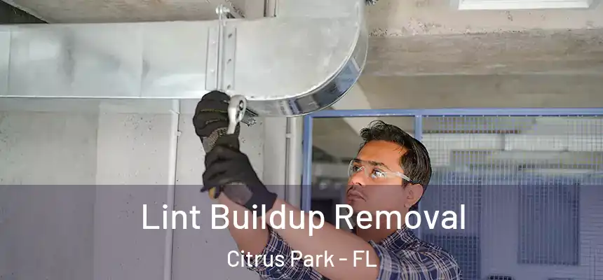 Lint Buildup Removal Citrus Park - FL