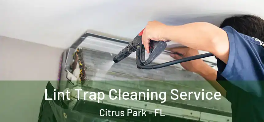 Lint Trap Cleaning Service Citrus Park - FL