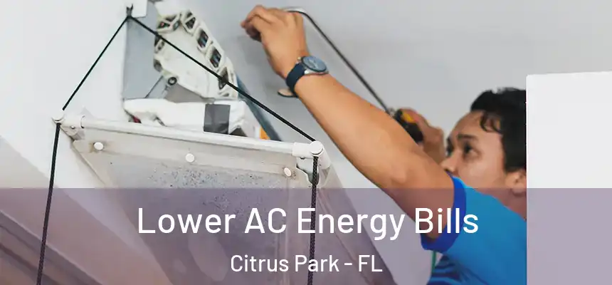 Lower AC Energy Bills Citrus Park - FL