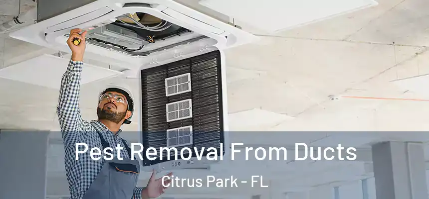 Pest Removal From Ducts Citrus Park - FL