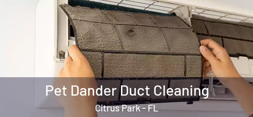Pet Dander Duct Cleaning Citrus Park - FL