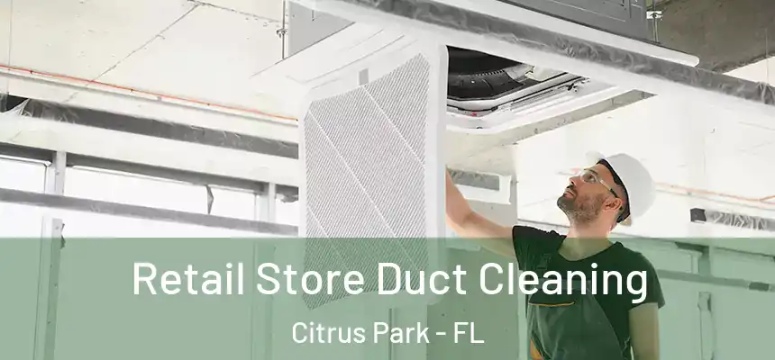 Retail Store Duct Cleaning Citrus Park - FL