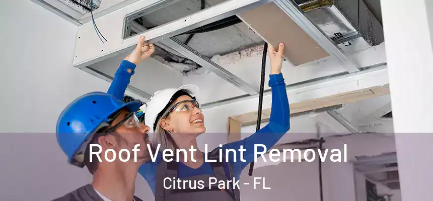 Roof Vent Lint Removal Citrus Park - FL