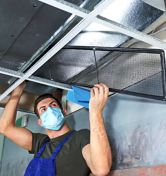 Professional Air Duct Pollen Cleaning in Citrus Park, FL