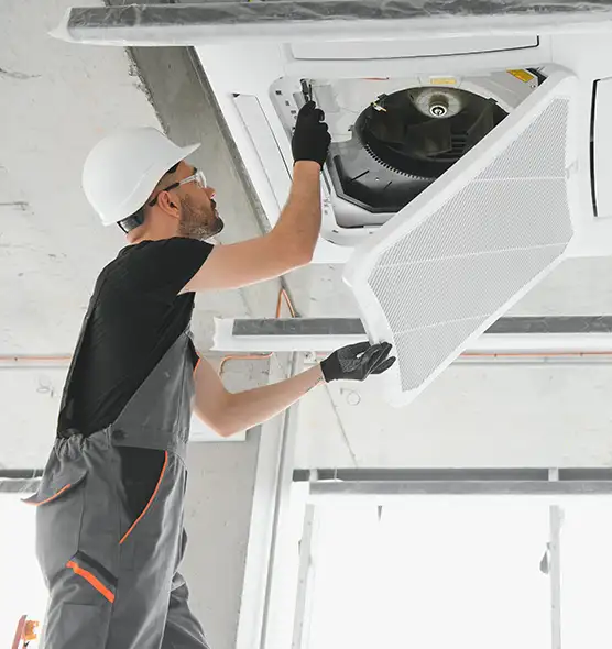 About Air Duct Rodent Removal in Citrus Park, FL