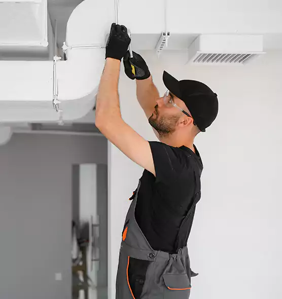 Professional Air Purifier Installation in Citrus Park, FL