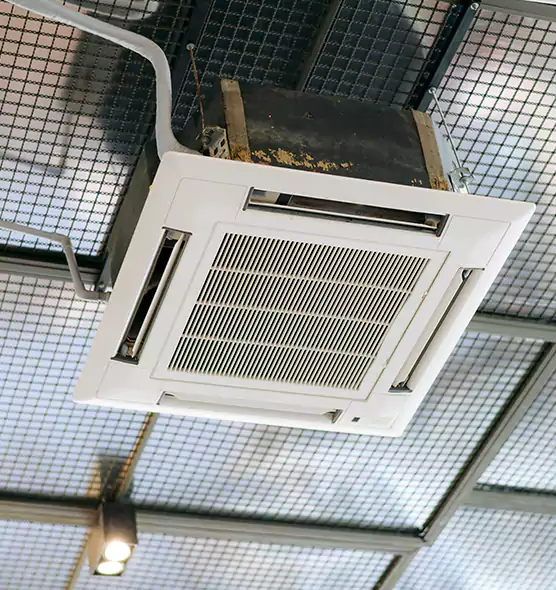 Top-Notch Allergy Relief Vent Cleaning Services in Citrus Park, FL