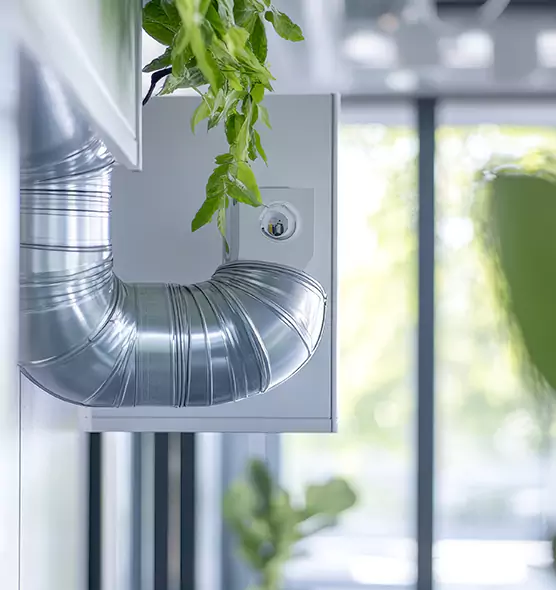 Professional Eco-Safe Dryer Vent Cleaning in Citrus Park, FL