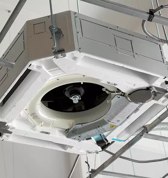 Professional Industrial Dryer Vent Cleaning in Citrus Park, FL